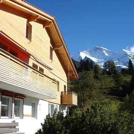 Chalet Viola Wengen Exterior foto