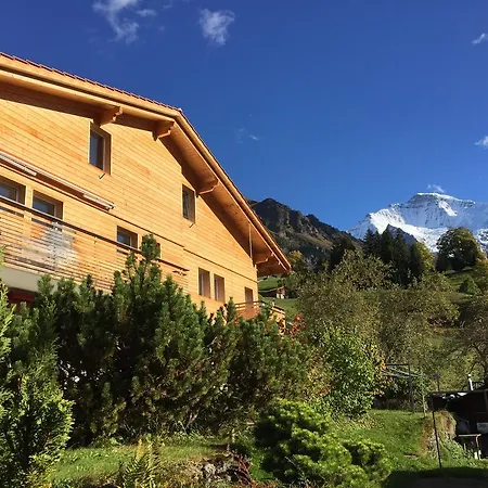 Chalet Viola Wengen Exterior foto
