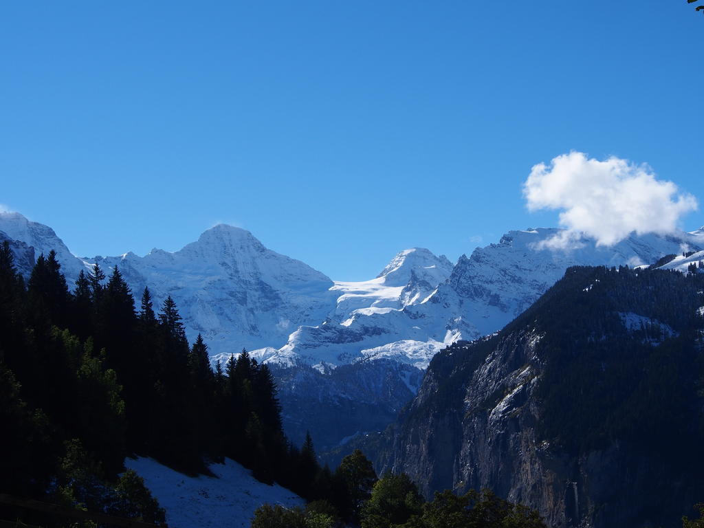Apartment Viola Wengen